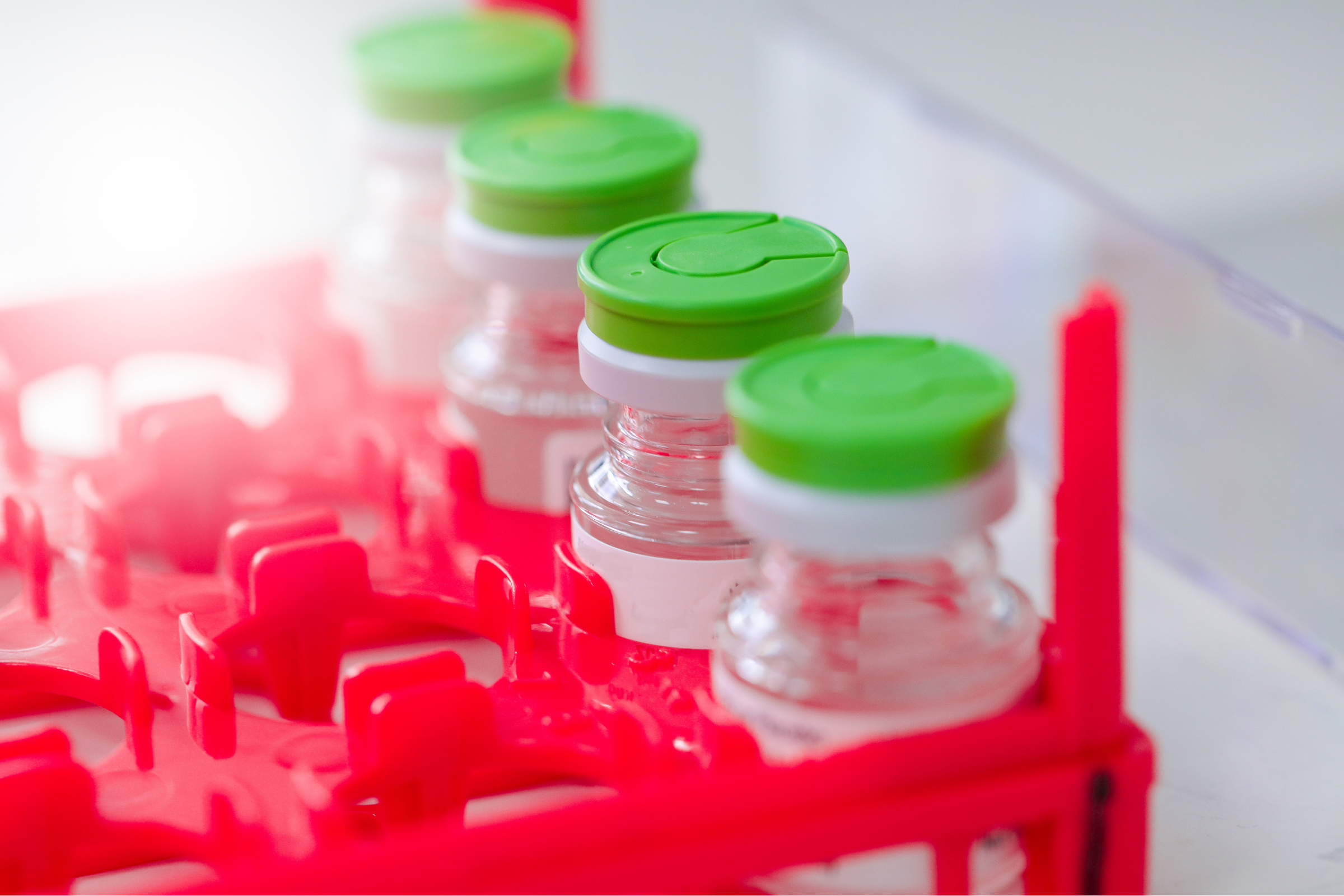 Laboratory tubes in a red rack.