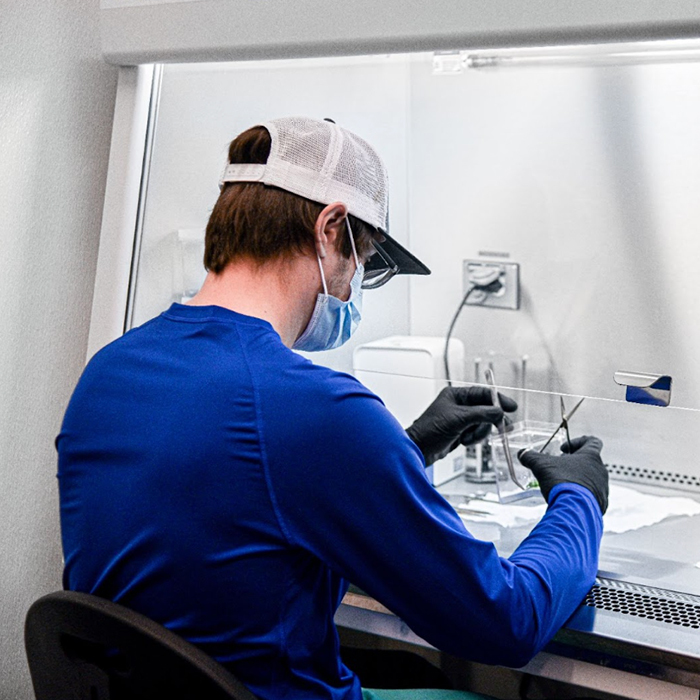 Laboratory technician handling samples under a protective hood.