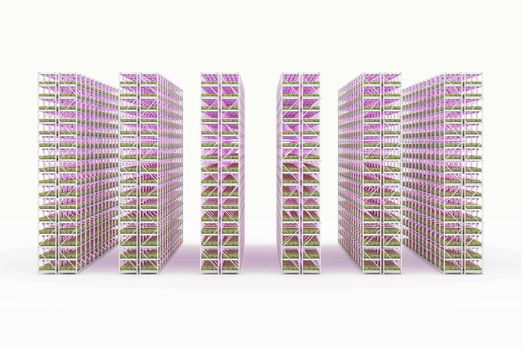 Quatre rang&#233;es de bo&#238;tes empil&#233;es sur des &#233;tag&#232;res, montrant une m&#233;thode de stockage structur&#233;e.