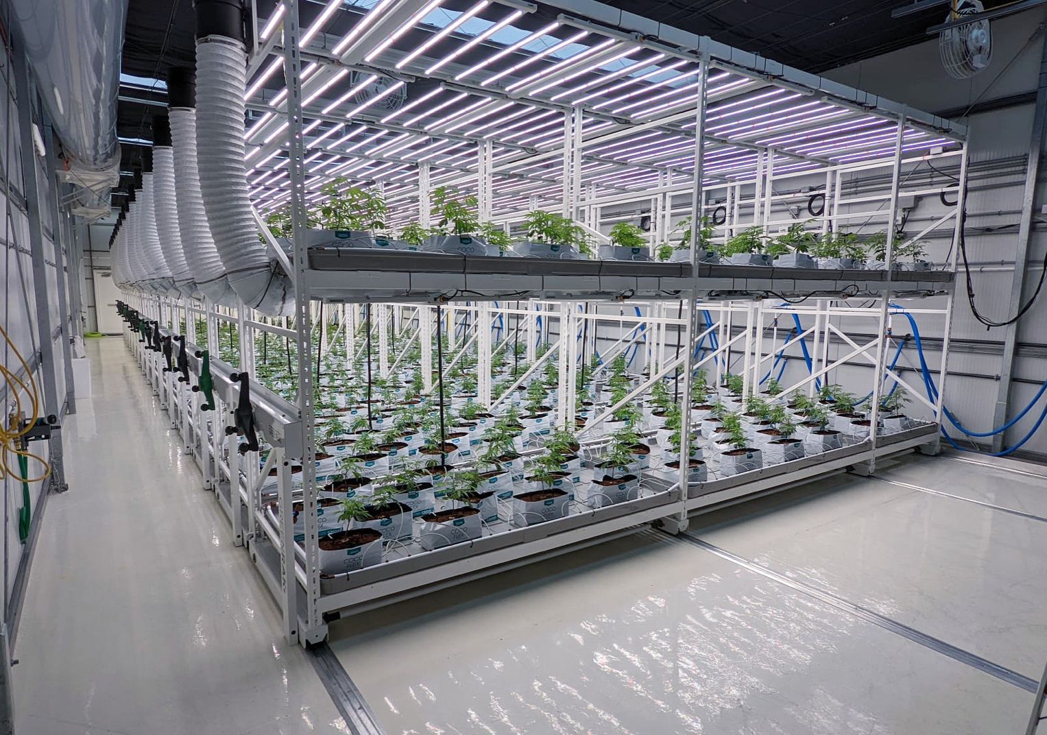Controlled lighting system for indoor plant cultivation.