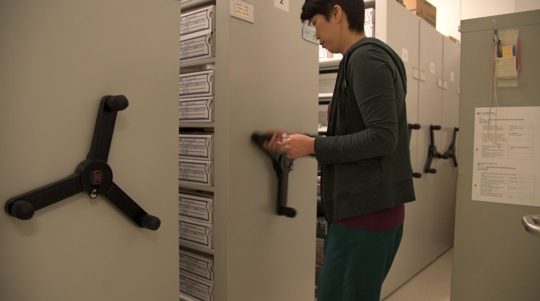 Montel employee using a storage system.