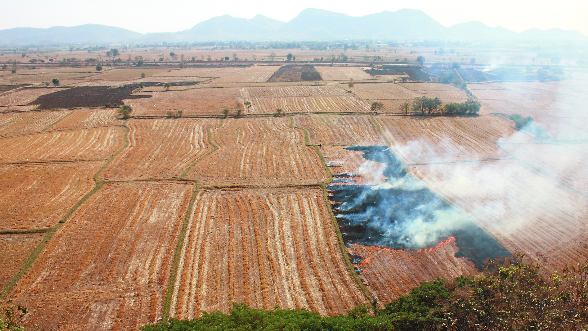 Burning of agricultural residue in a field after harvest.