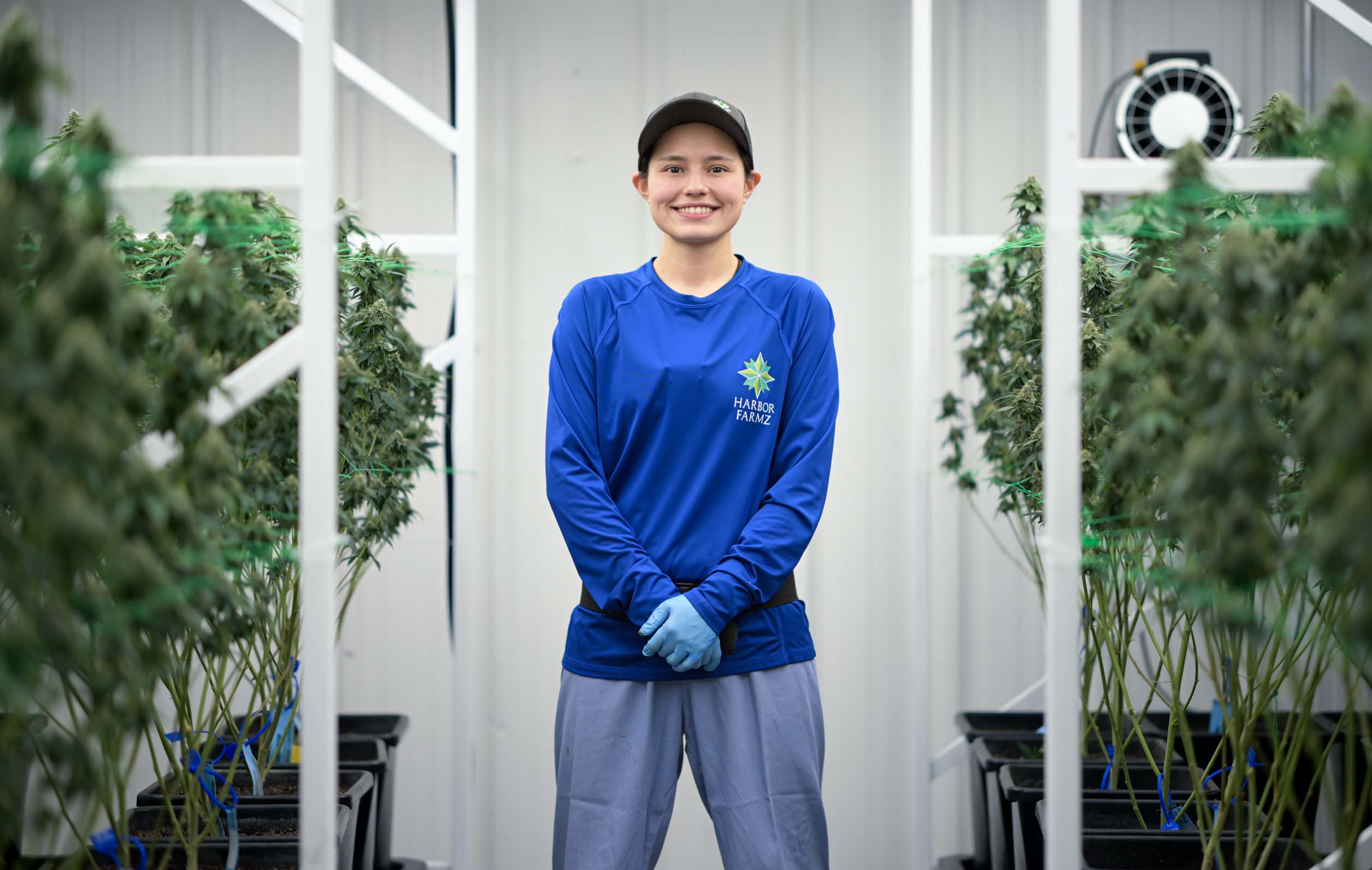 Employee in a cannabis cultivation facility, surrounded by plants.