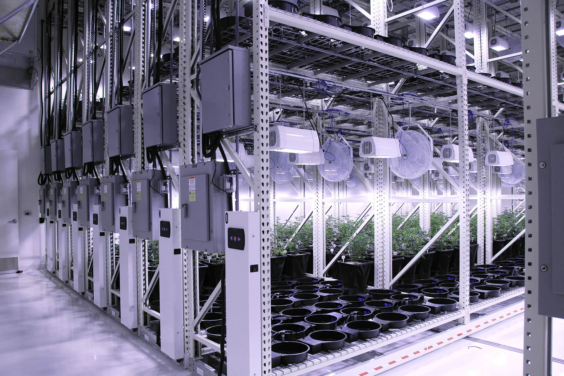 Indoor cultivation system with mobile shelving and ventilation for plant growth.