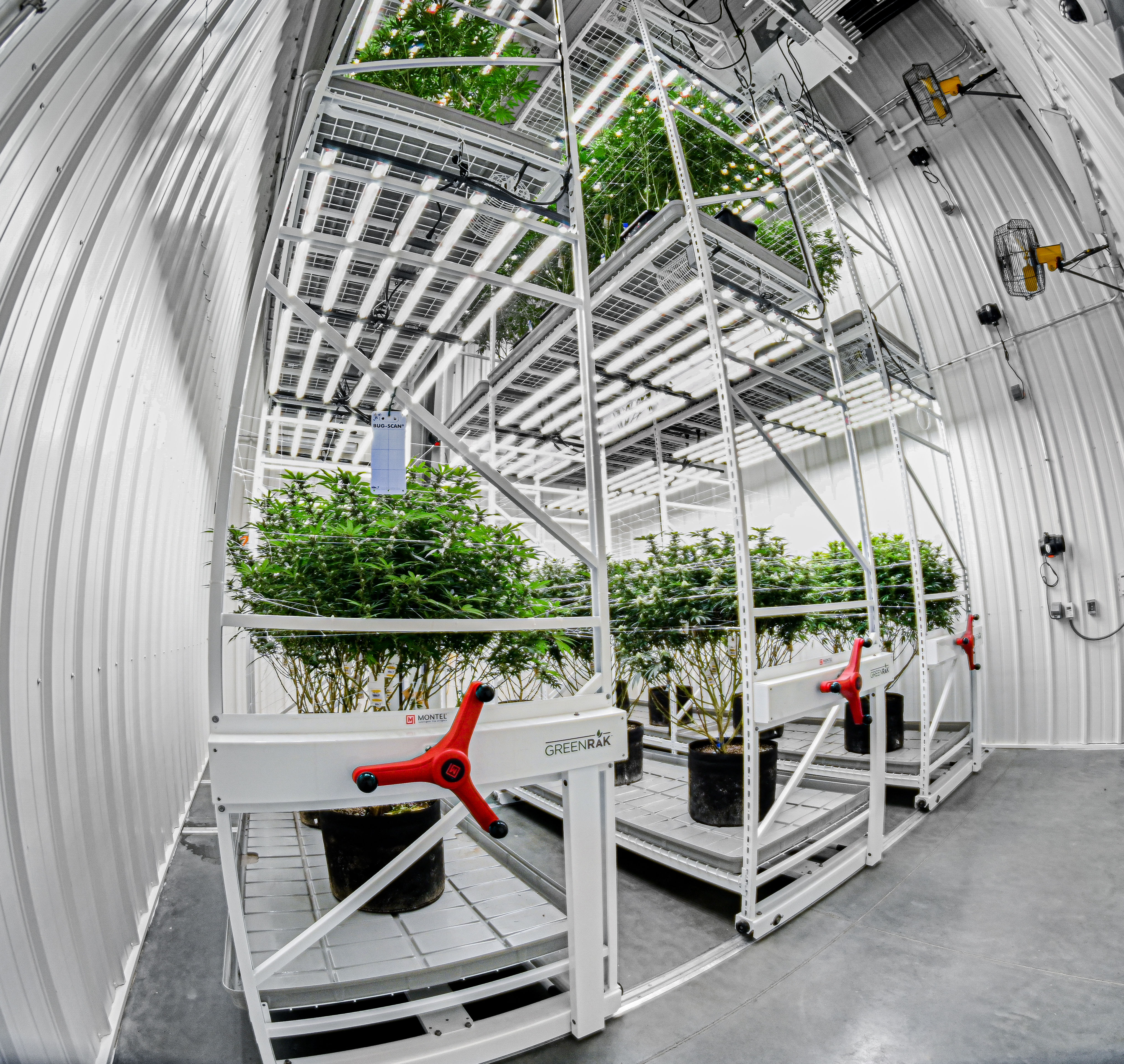 Sistema de estanter&#237;as m&#243;viles GreenRak para cultivo interior de plantas.