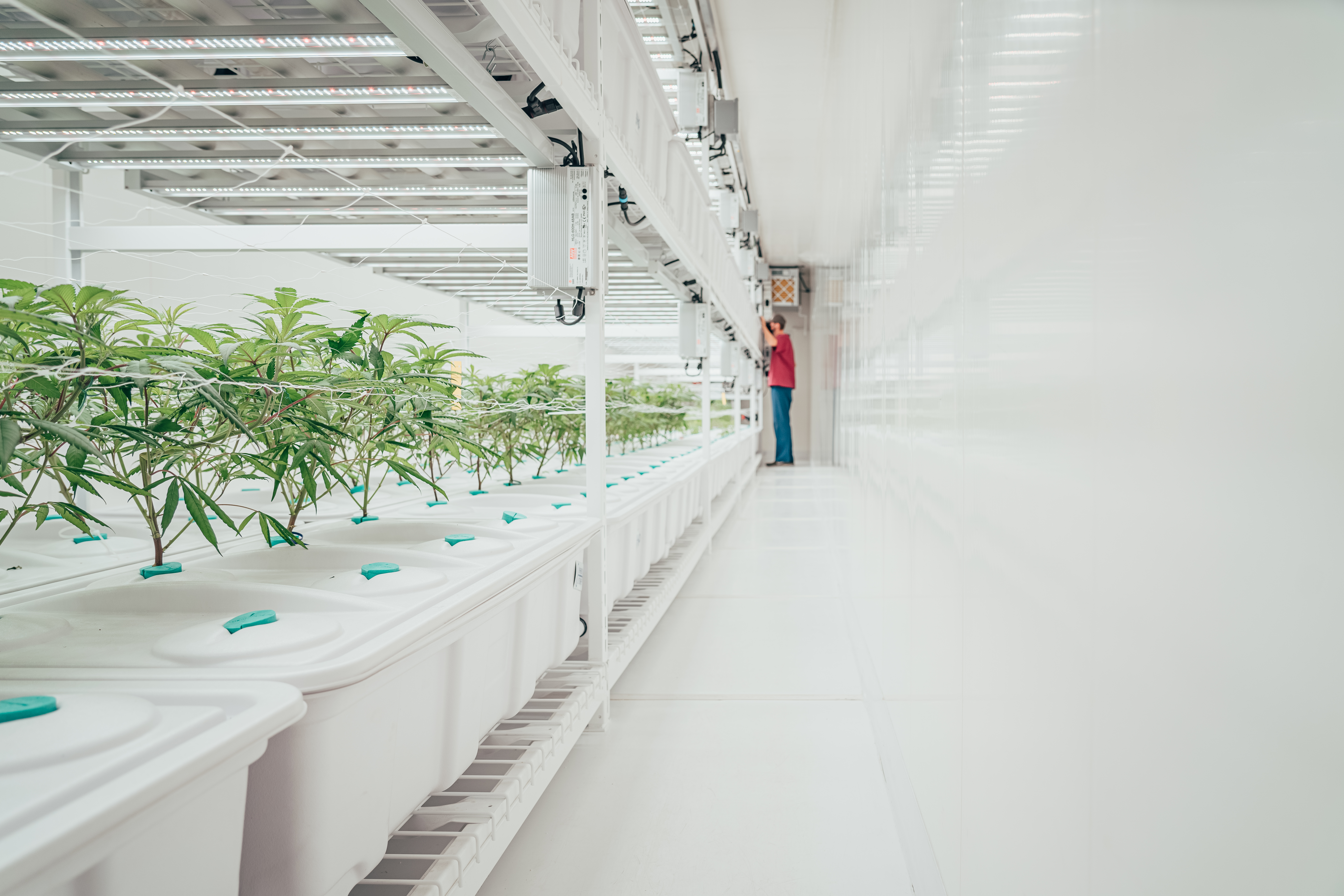 The Efficiency Multiplier: Why Mobile Racks Are Key to Lowering Your Vertical Farm’s Power Bill