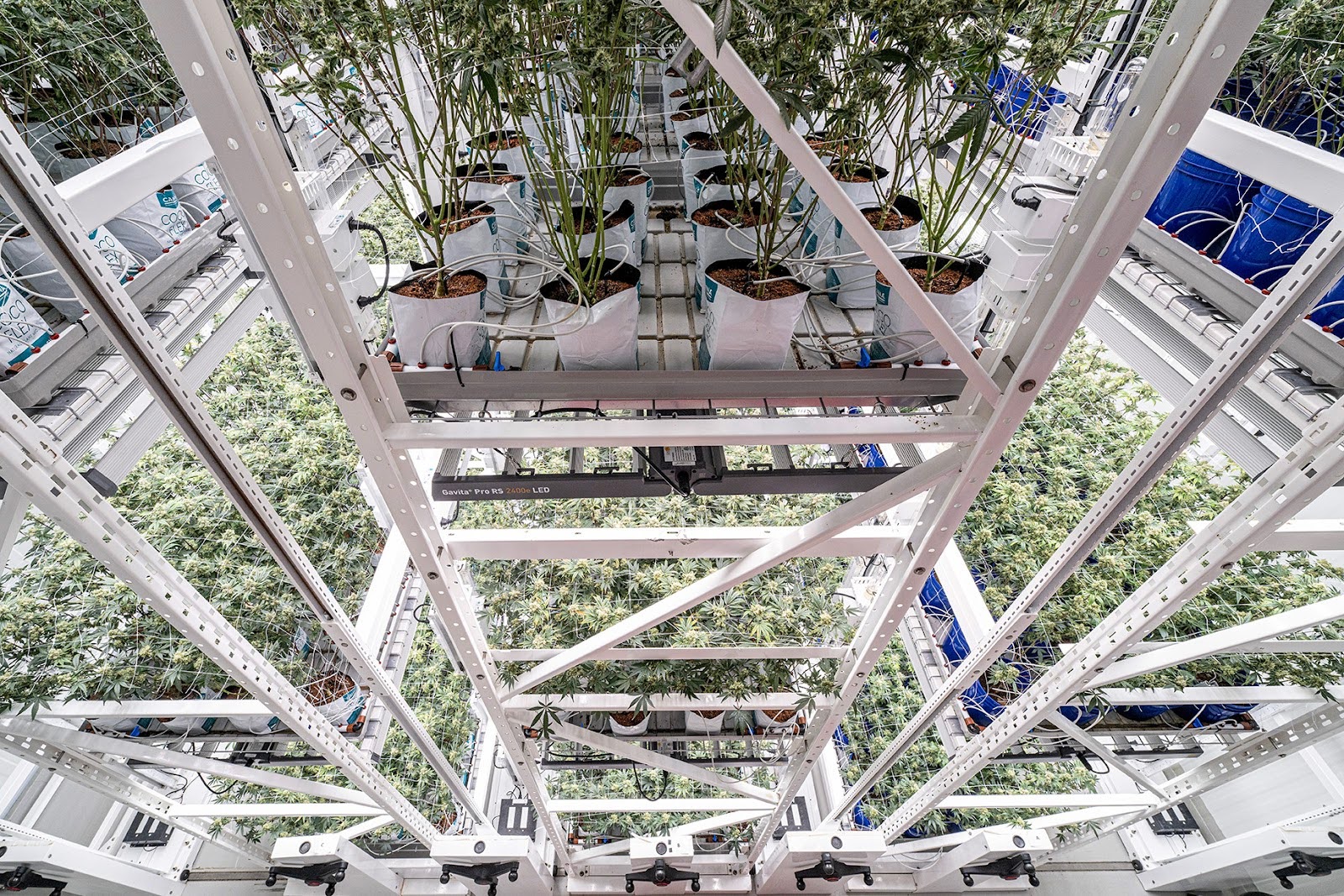 High-Density Vertical Grow Systems: The Infrastructure Powering Modern Indoor Horticulture