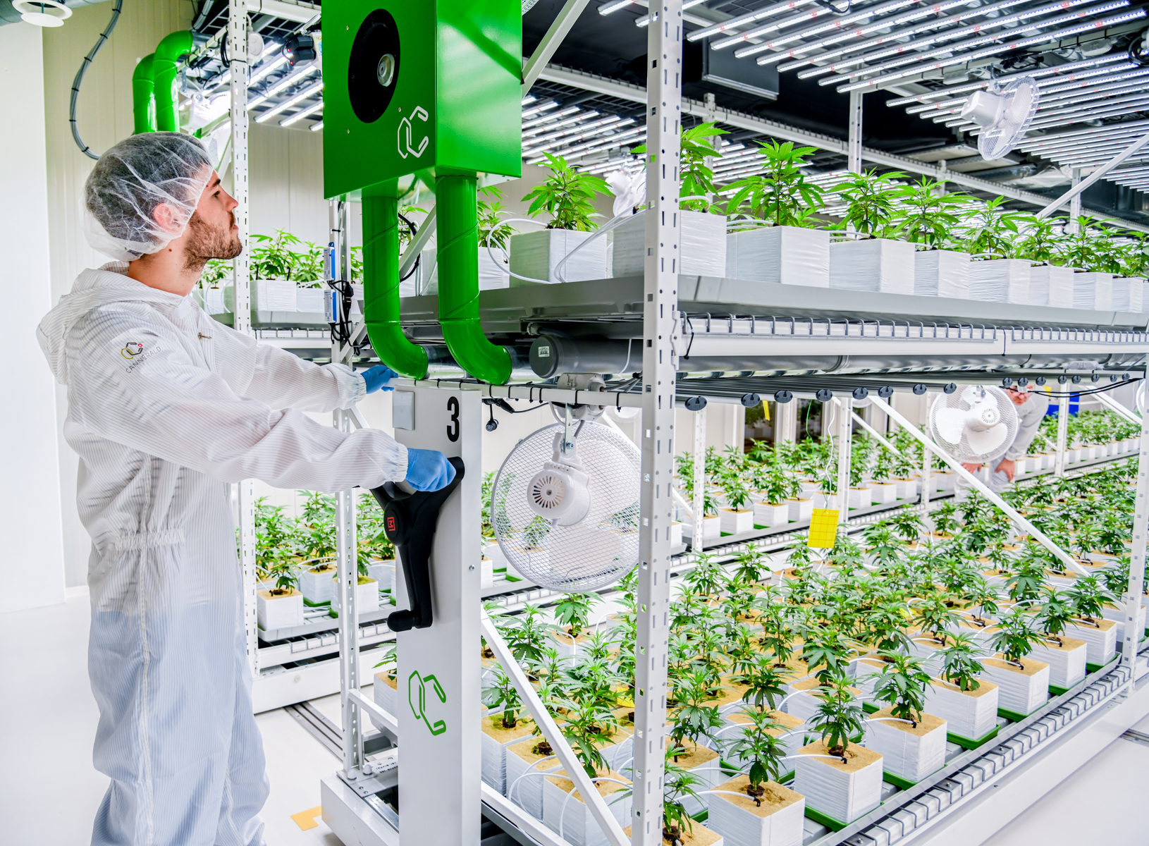 Indoor cultivation system with mobile shelving and ventilation for plant growth.