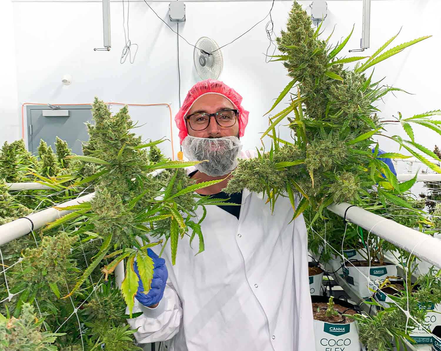 El maestro cultivador William Fournier se une a Montel como experto en investigaci&#243;n y desarrollo de agricultura vertical.