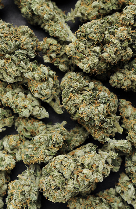 Harvesting &amp; Trimming