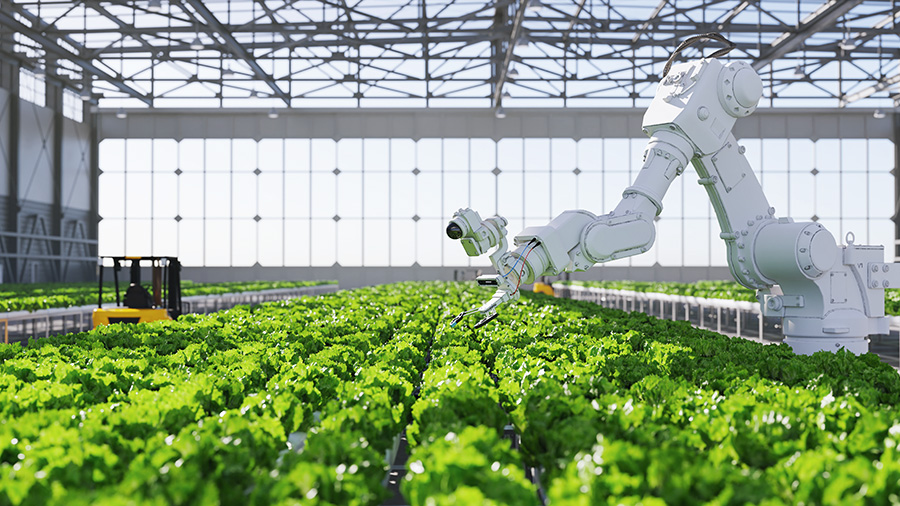 Can High-Tech Greenhouses Drive the Future of Sustainable Horticulture?