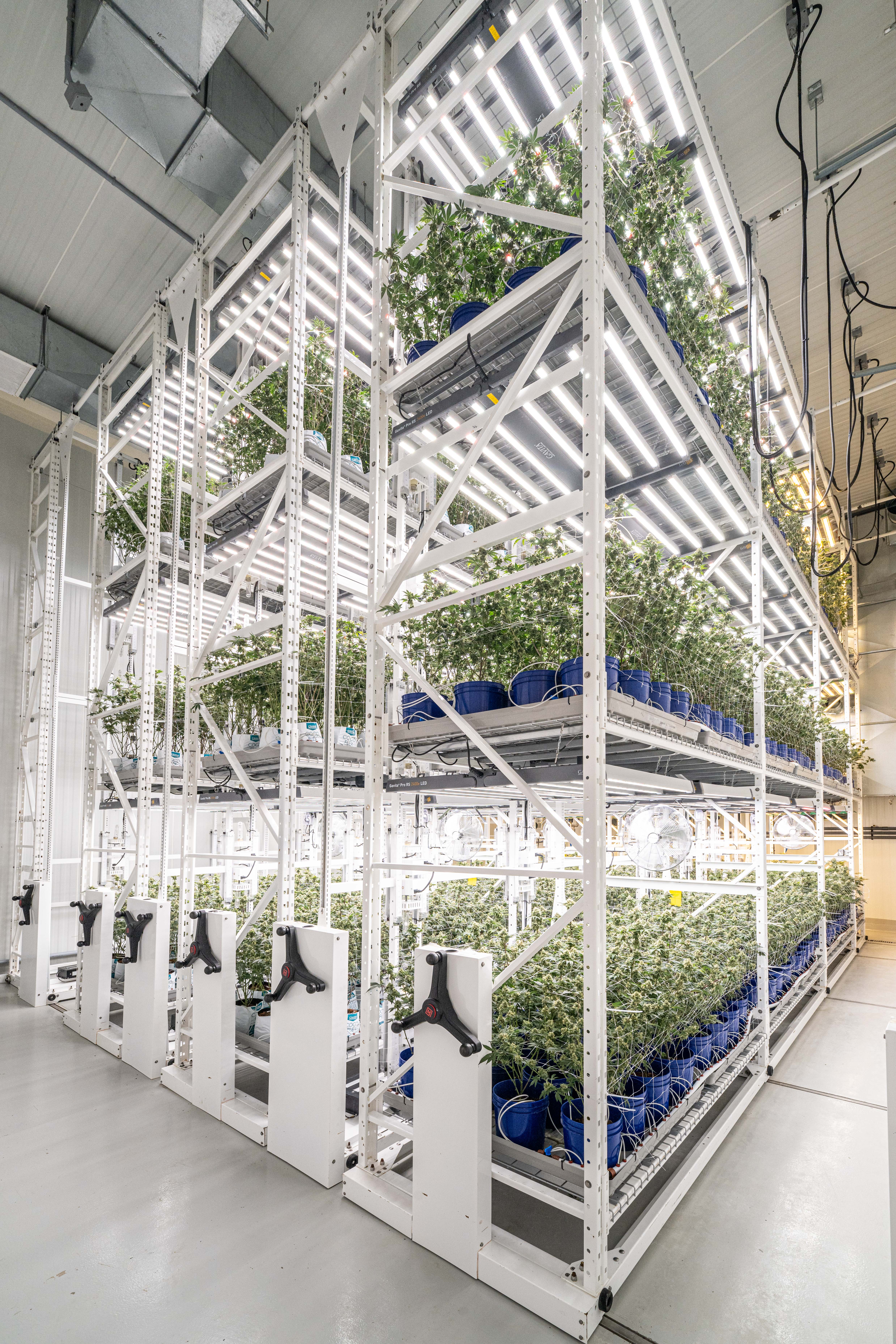 Vertical Farming