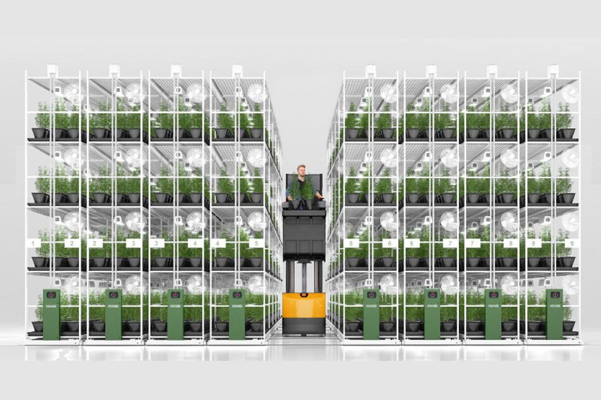 The Future of Farming is Vertical